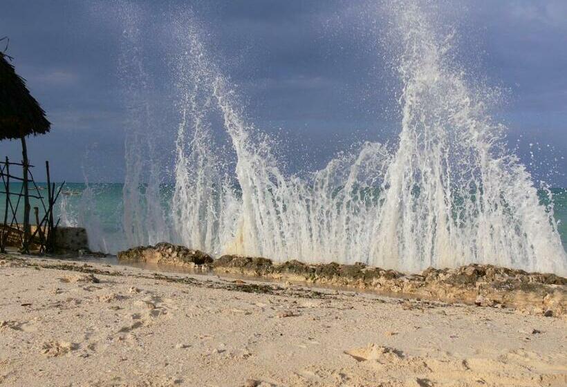 بنسيون Vanilla House