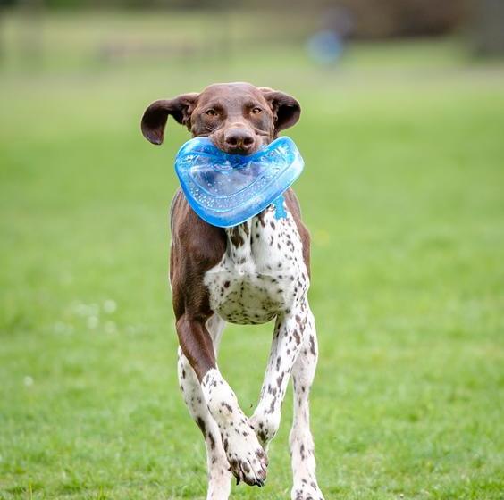 Aotearoa Southport Bed And Breakfast