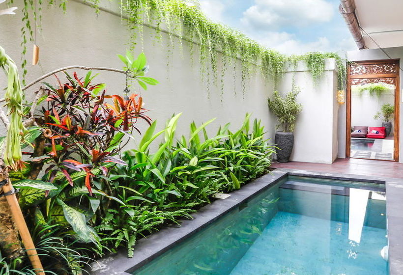 Aroha Boutique Villas