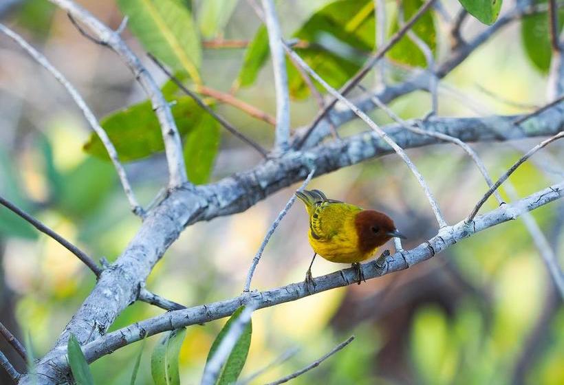 住宿加早餐  Casa Blanca