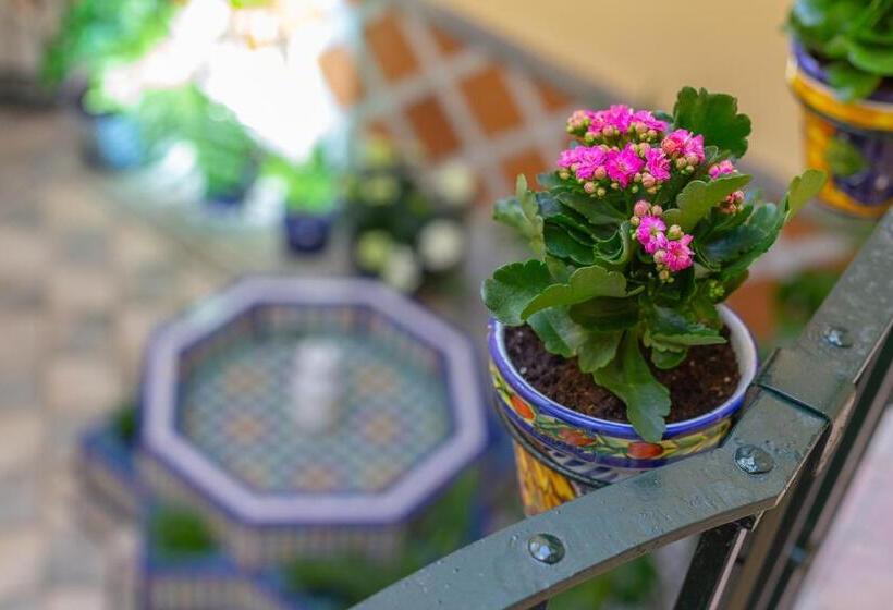 تختخواب و صبحانه Casa Miraflores