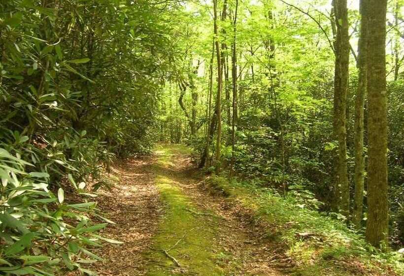 住宿加早餐 Fire Mountain Resort