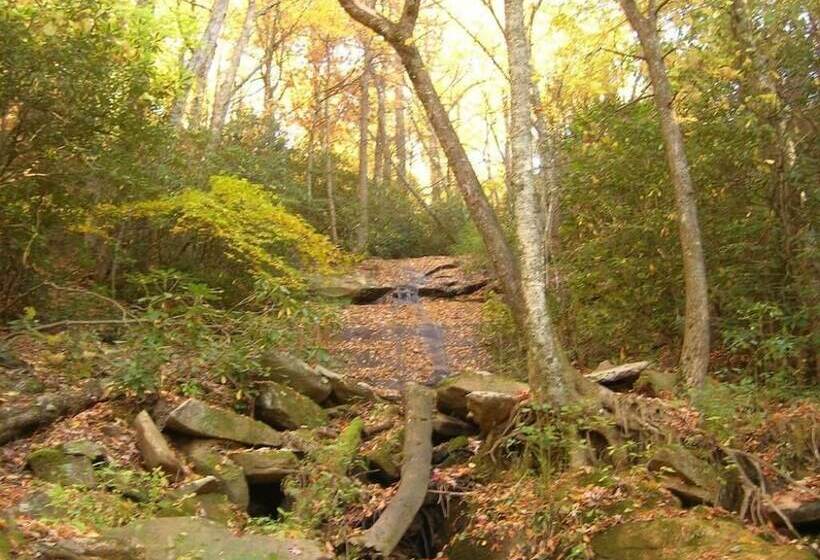 住宿加早餐 Fire Mountain Resort