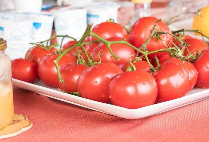 ベッドアンドブレックファースト La Casa Rossa Country House