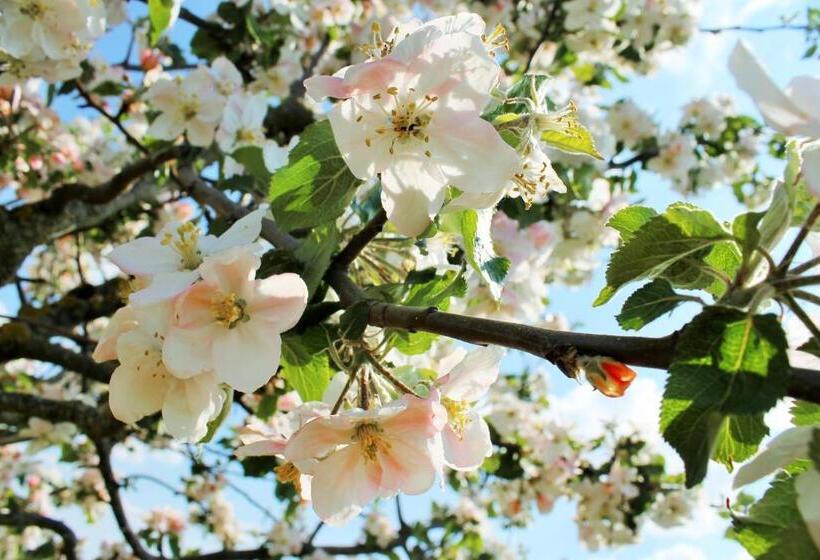 Domaine Joseph Lafarge Wine Resort Oeno Tonneaux Expérience
