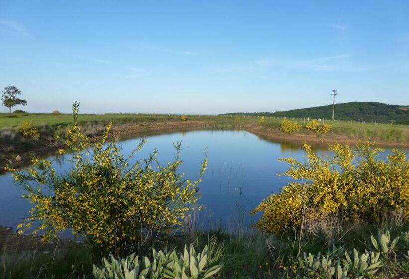 Domaine Joseph Lafarge Wine Resort Oeno Tonneaux Expérience