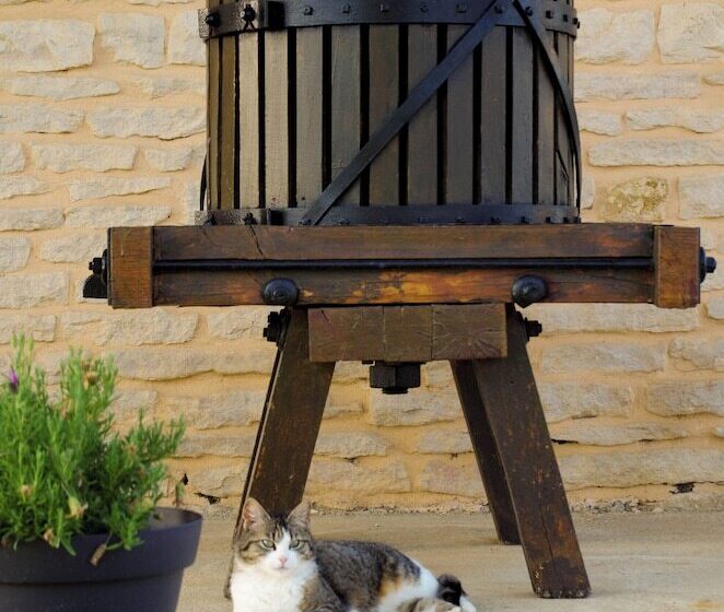 Domaine Joseph Lafarge Wine Resort Oeno Tonneaux Expérience