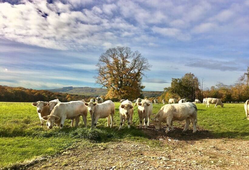 Domaine Joseph Lafarge Wine Resort Oeno Tonneaux Expérience