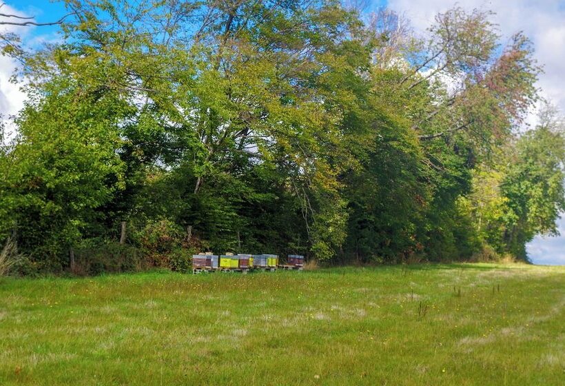 Domaine Joseph Lafarge Wine Resort Oeno Tonneaux Expérience