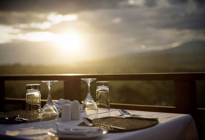 فندق Acacia Farm Lodge