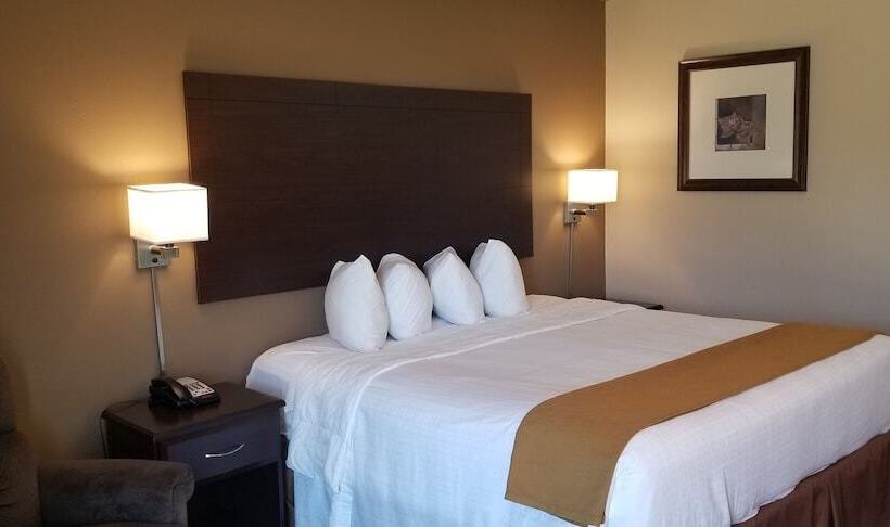 בית מלון כפרי Cobblestone Inn & Suites  Lake View