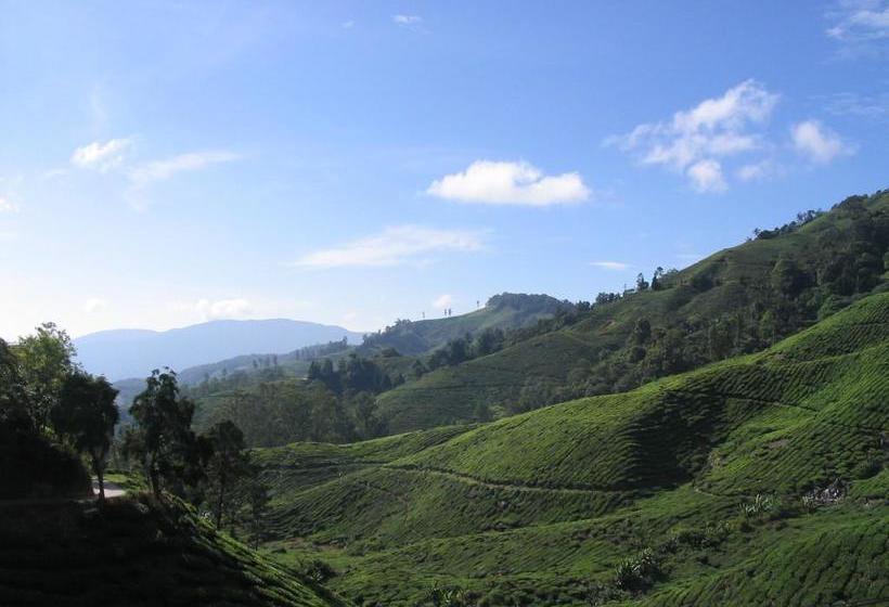 فندق Emerald Inn