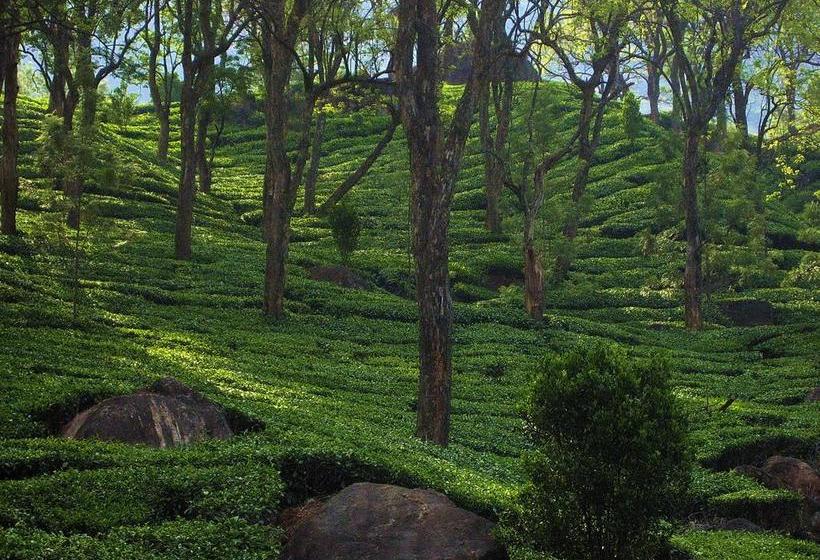 فندق Emerald Inn