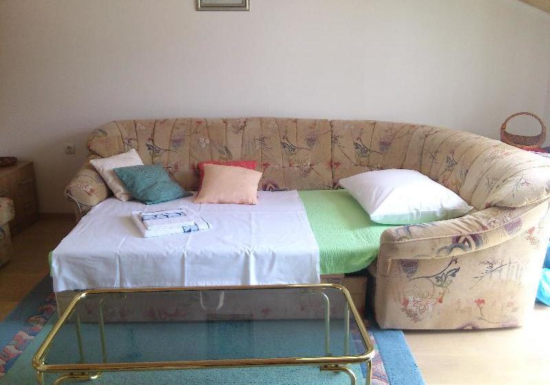 בית מלון כפרי Guesthouse Zeko Rozat