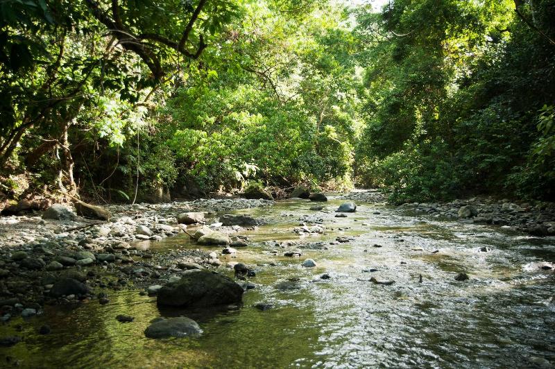 فندق La Leona Eco Lodge