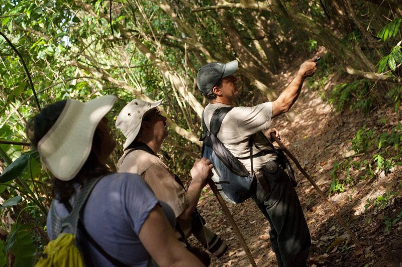 فندق La Leona Eco Lodge