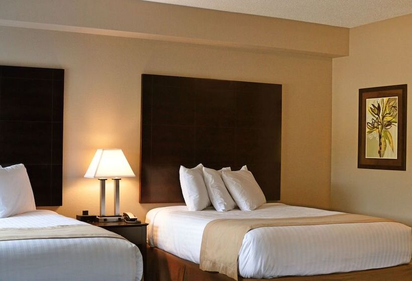 Qube Hotel Polk City