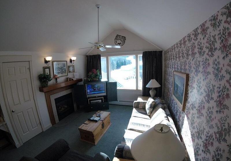 ホテル Okemo Mountain Condo