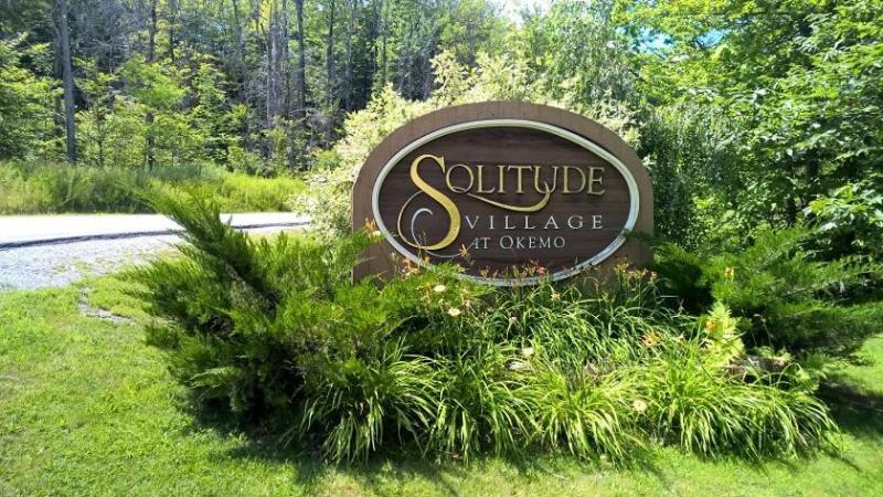 ホテル Okemo Mountain Condo