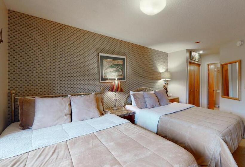 ホテル Okemo Mountain Condo