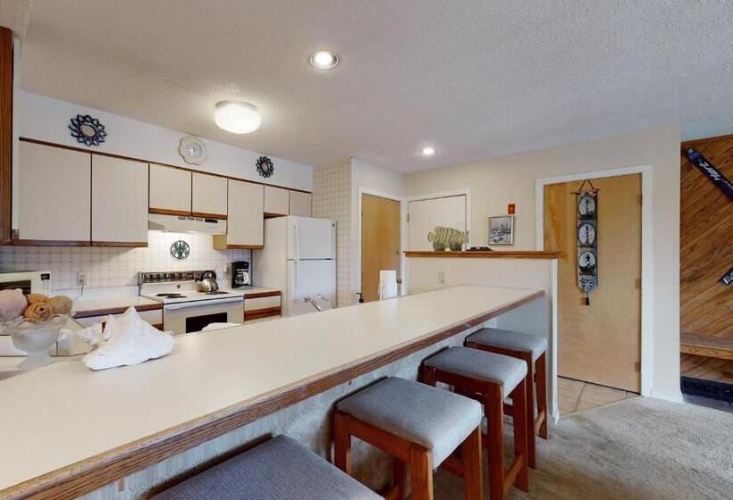 ホテル Okemo Mountain Condo