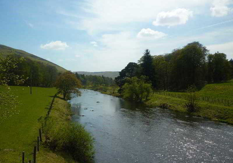 فندق The Abington