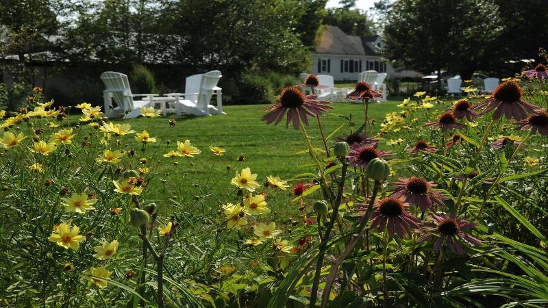 فندق The Lyme Inn