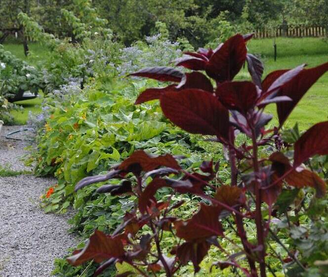 בית מלון כפרי Villa Gransholm