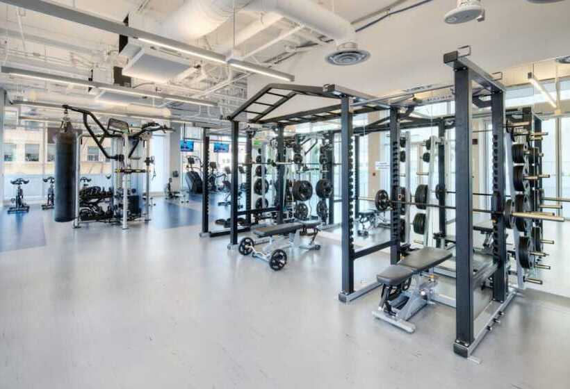 Level Los Angeles   Downtown South Olive