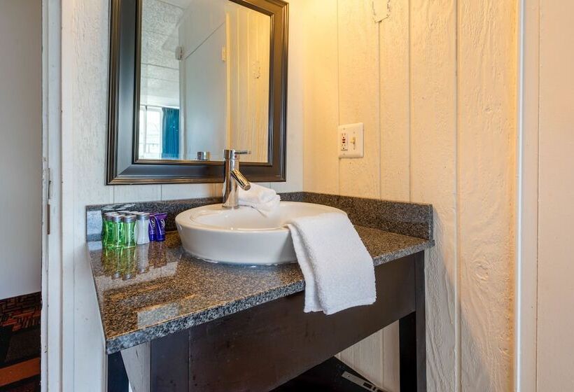 汽车旅馆 Aire Hotel North Beach Jersey Shore