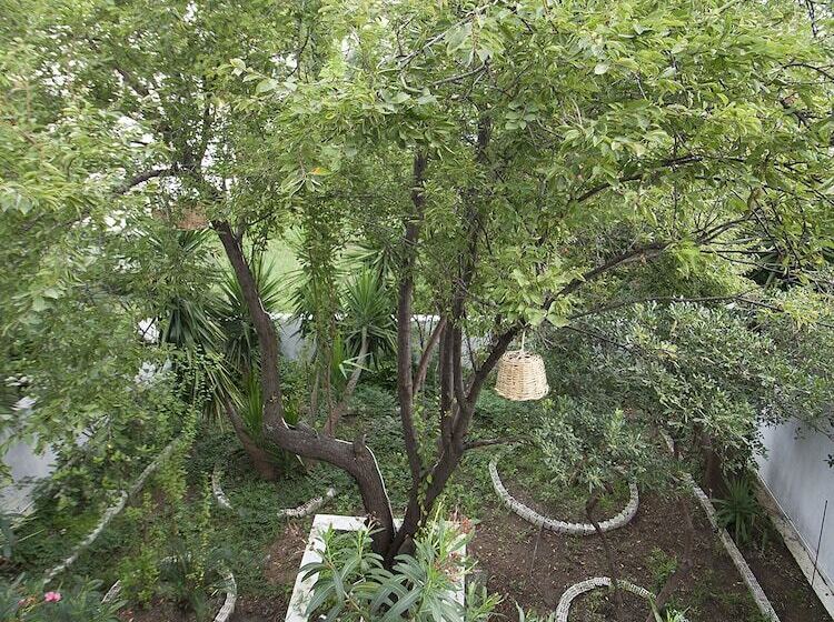 פנסיון Laura Skiathos