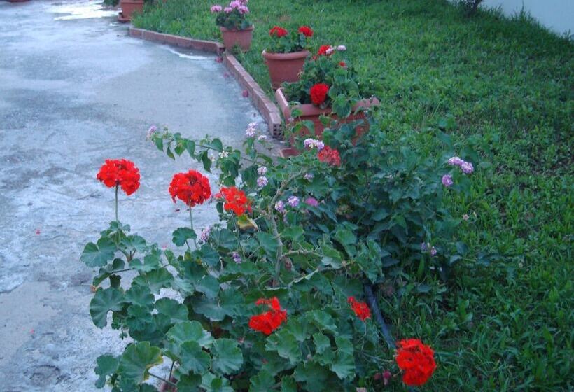 Philippos Studios & Apartments