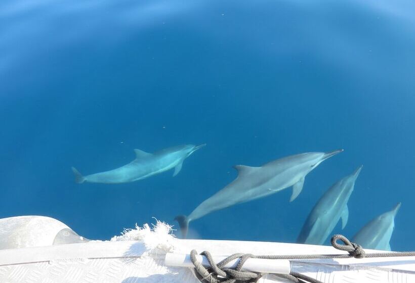 Tropica Island Resort  Adults Only