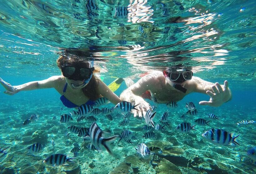 Tropica Island Resort  Adults Only