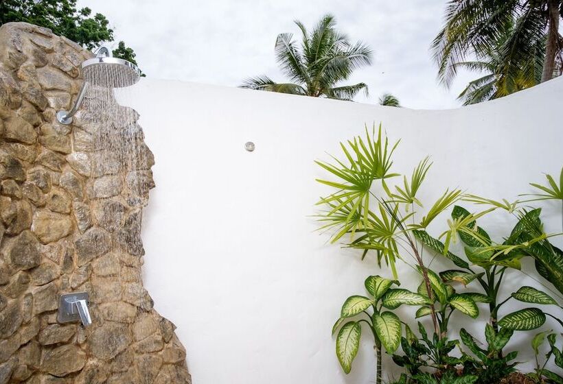 Tropica Island Resort  Adults Only