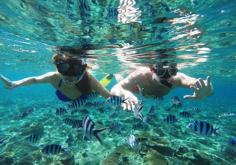 Tropica Island Resort  Adults Only