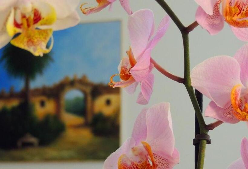 住宿加早餐  In Itinera