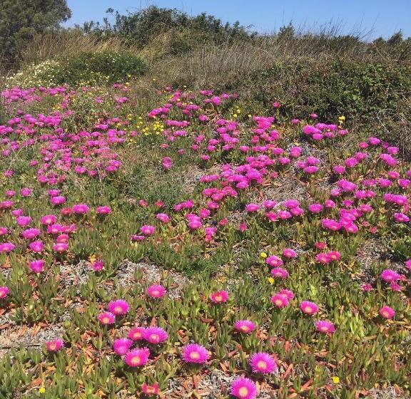 צימר La Striscia Larga