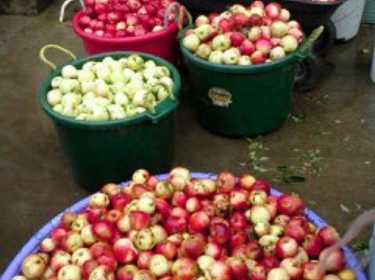 Mt. Emily Ranch Bed And Breakfast