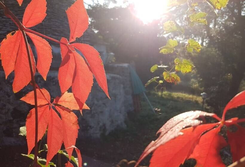 צימר Parco Della Vigna