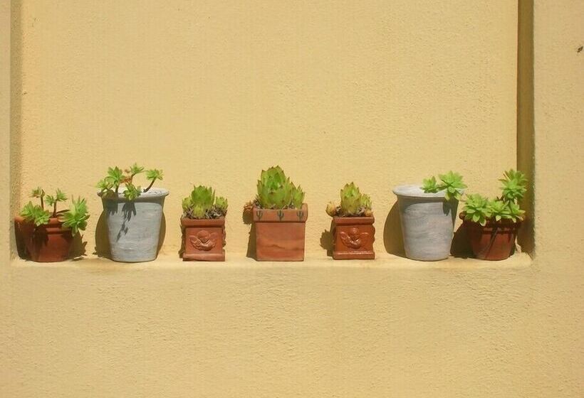 Bed and Breakfast Villa Mustafà