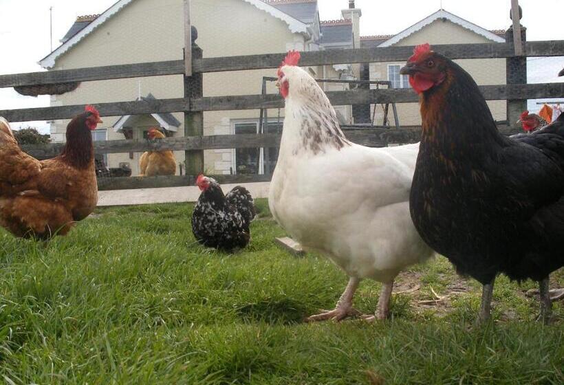 Brandon View House B&b