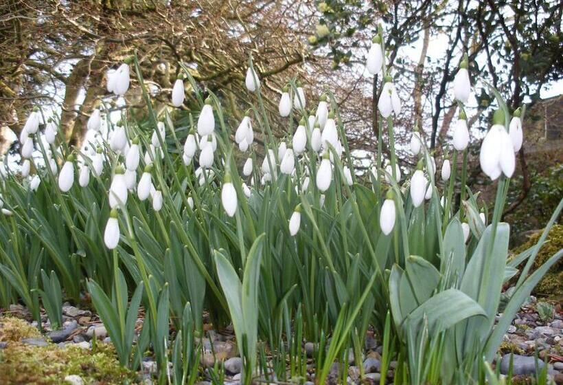 Brandon View House B&b