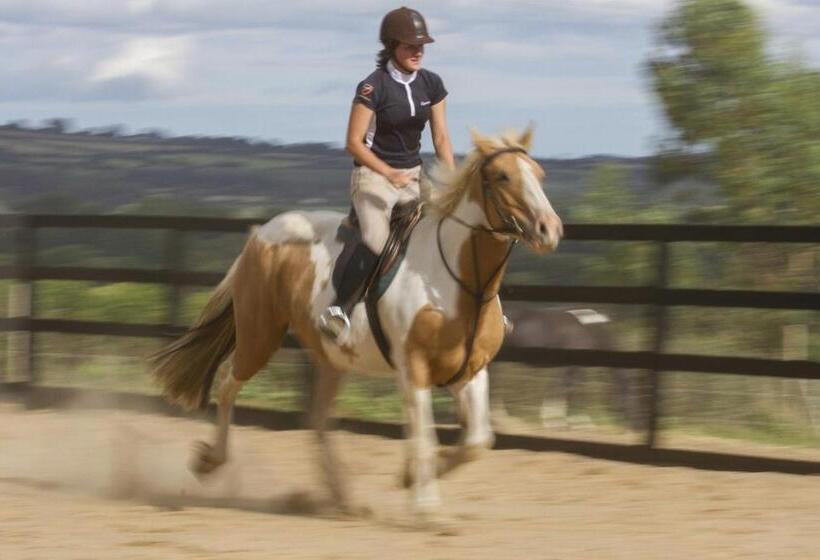 Brandon View House B&b