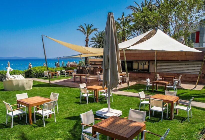 Casa Dell Arte Hotel Of Arts & Leisure