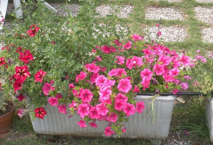 酒店 Agriturismo Le Rose