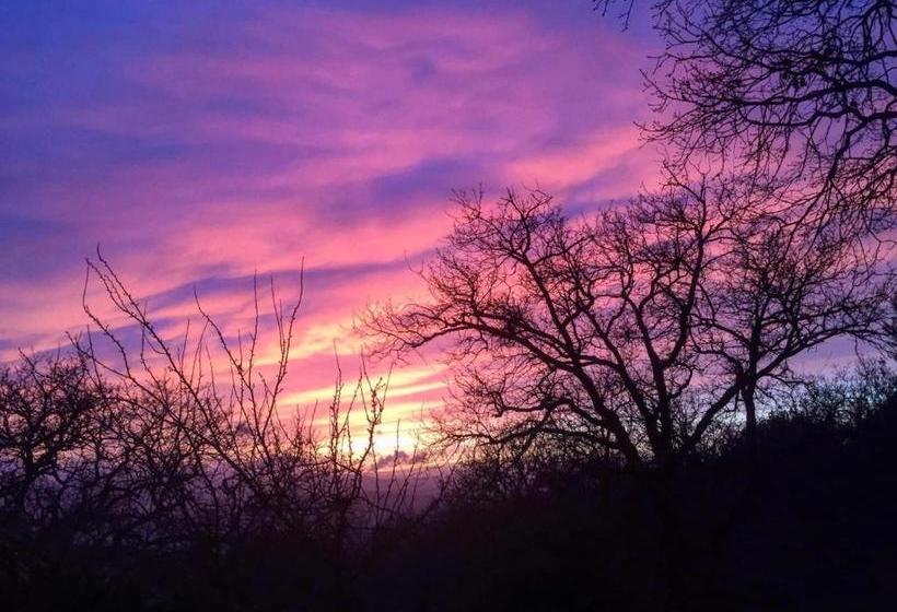 Agriturismo Podere Costarella