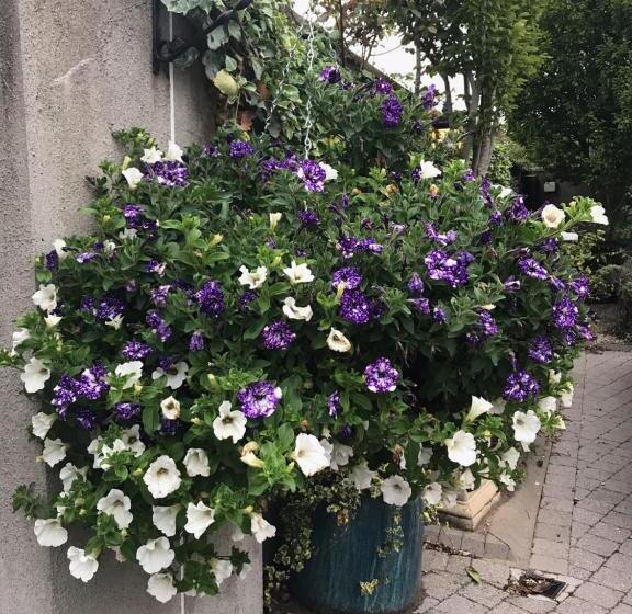 בית מלון כפרי Avlon House Bed And Breakfast