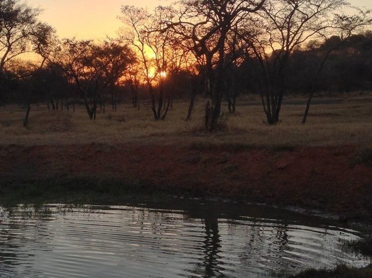 فندق Buyskop Lodge