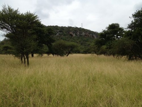 בית מלון כפרי Buyskop Lodge